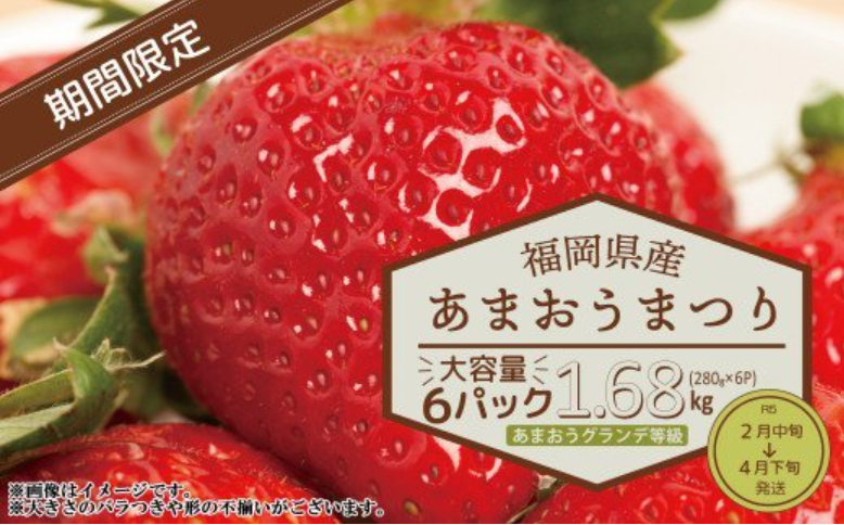 【福岡県産あまおう】グランデ等級1.68kg！（2月上旬～4月下旬発送）