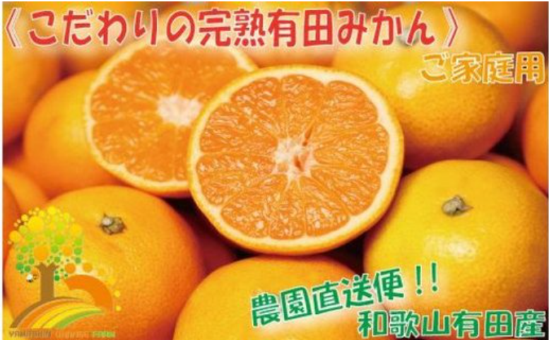 農家直送 こだわりの有田みかん 約6.5kg≪有機質肥料100%≫ご家庭用【2022年11月10日以降発送】