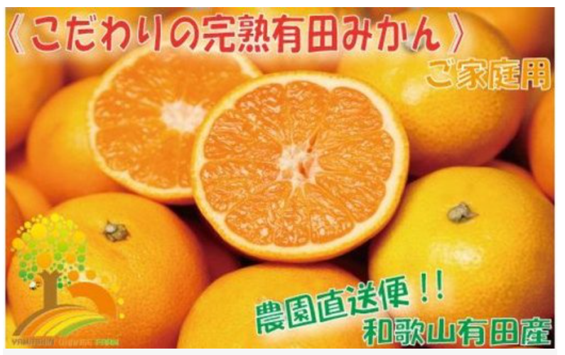 【2022年11月中旬以降発送】農家直送 こだわりの有田みかん 約6.5kg≪有機質肥料100%≫ご家庭用