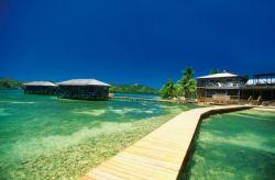 1231986973182845aceb39c9e413e28fd549058cf8