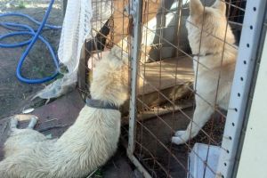 13120097811982509624c135d6922cdcf944ef7a61