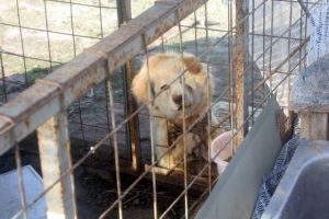 13120097968db123a97bf2bc475bec426e9d633fda